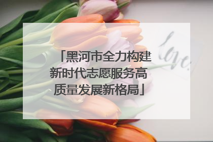 黑河市全力构建新时代志愿服务高质量发展新格局